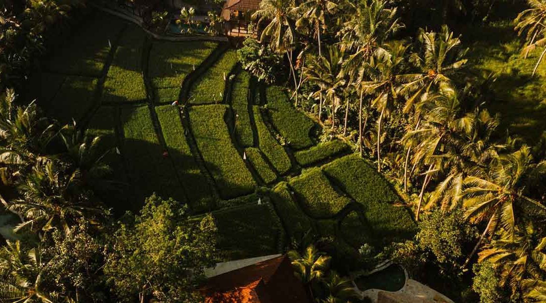 5 Inspiring Attitudes