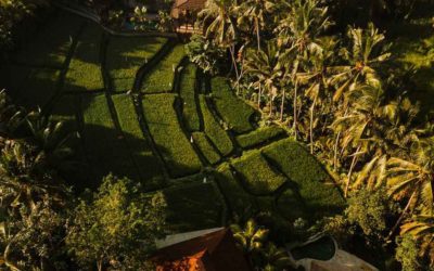 5 Inspiring Attitudes