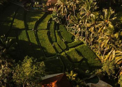 5 Inspiring Attitudes