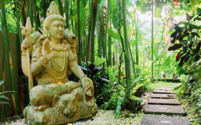 Samyama: Unlocking the Power Within