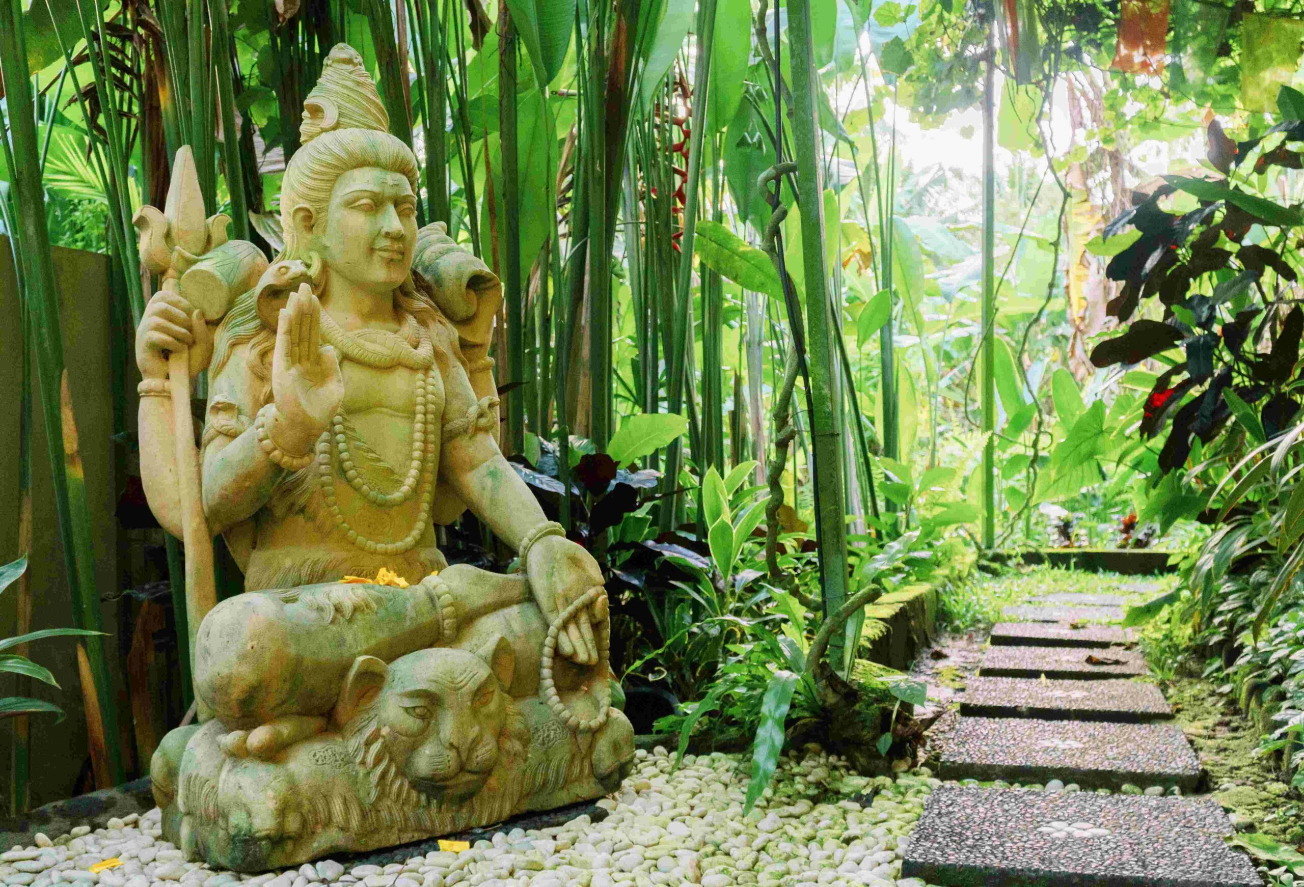 Samyama: Unlocking the Power Within