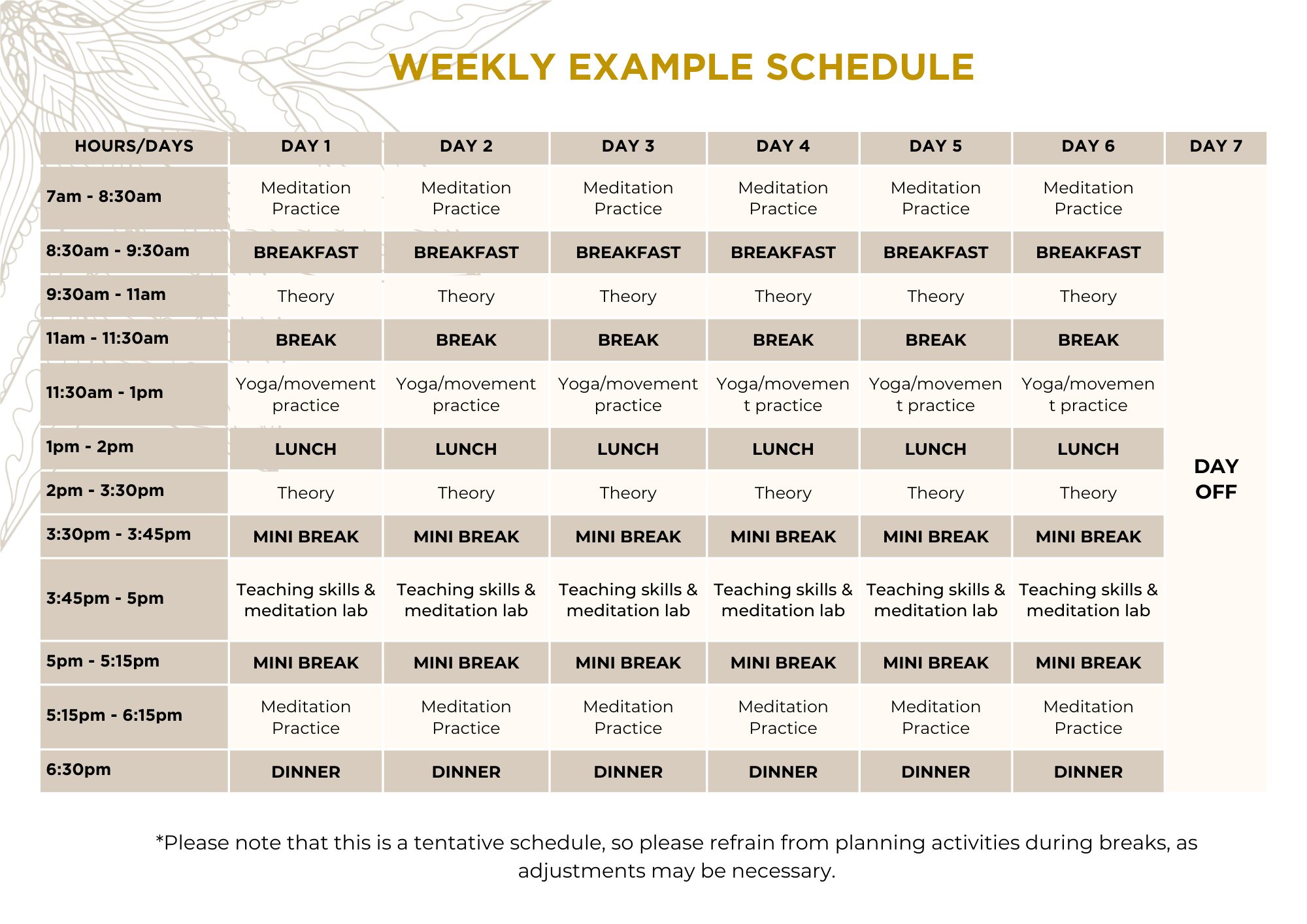 100hr Example Schedule (1)