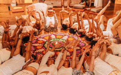 What is a YACEP course, when to do it, and how could I benefit from it