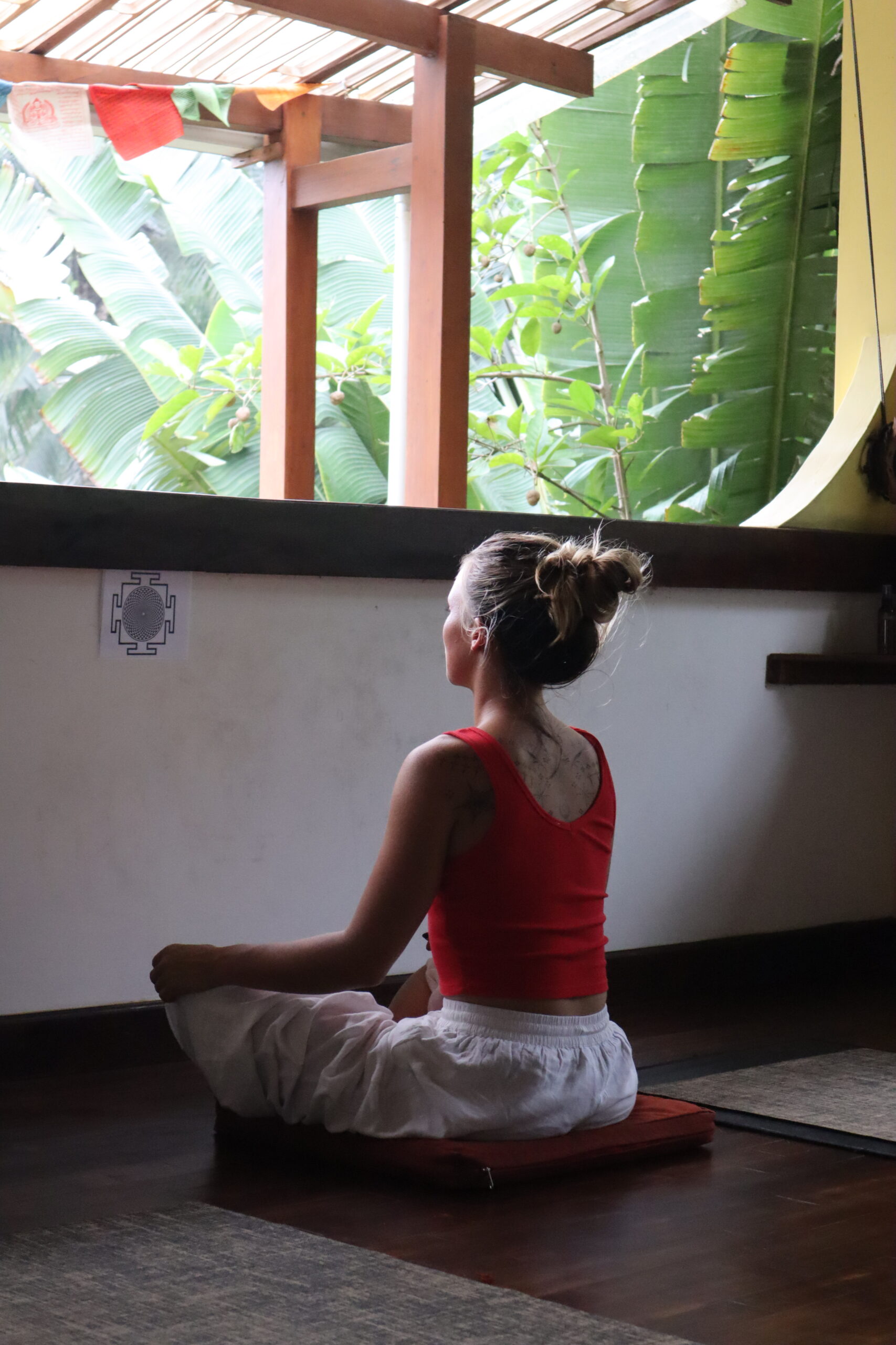 The Science & Mysticism of Chakras: Bridging Ancient Wisdom & Modern Understanding