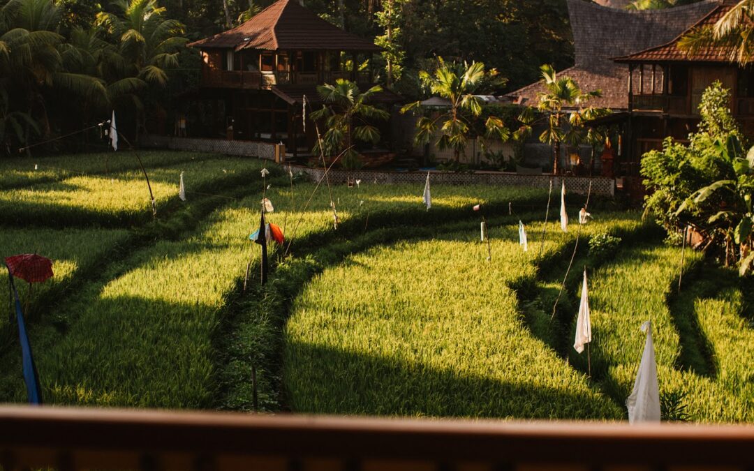 Chakras & Emotions: Decoding the Energy of Feelings