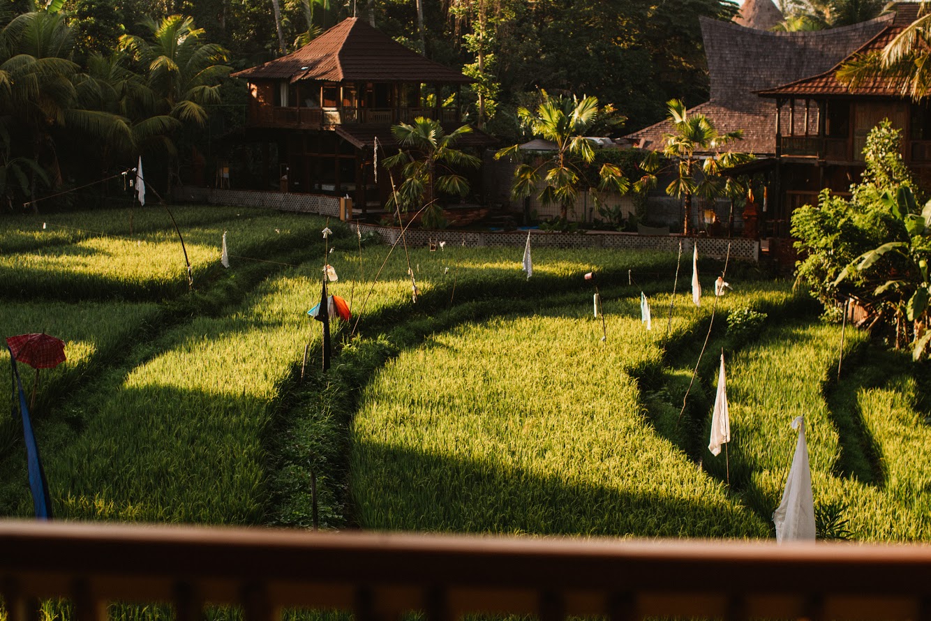 Chakras & Emotions: Decoding the Energy of Feelings