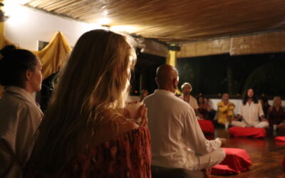 The Science of Awakening: How Meditation Transforms Your Brain and Body